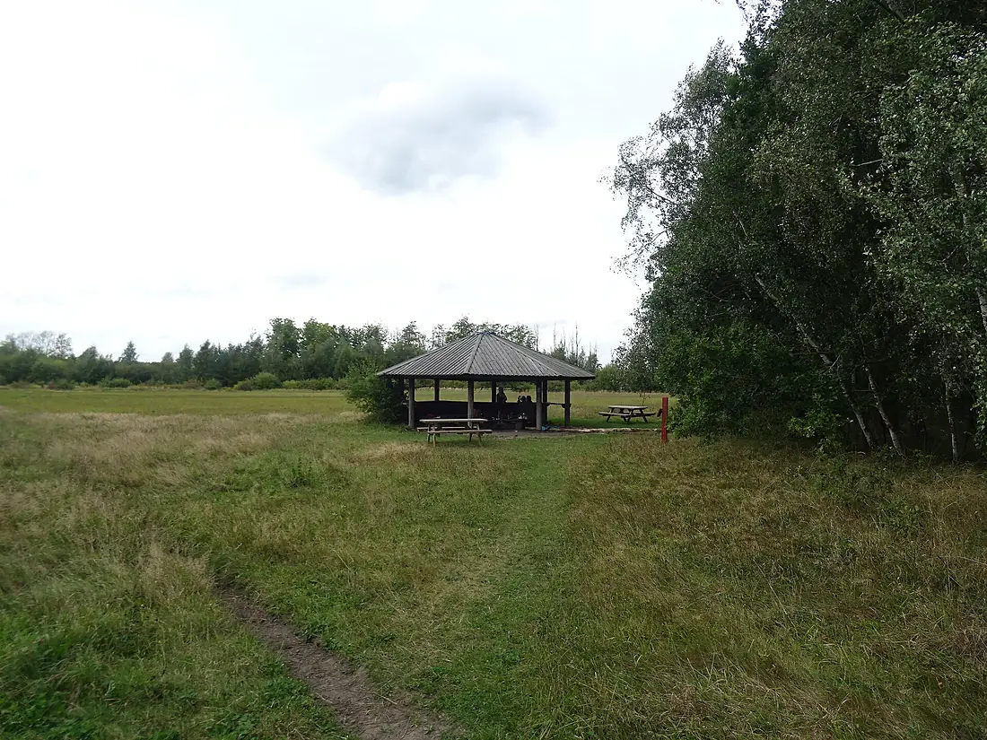 Bålhytte Vestskoven øst
