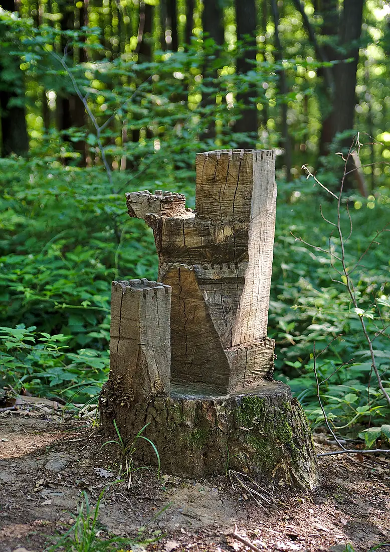 20170618 Wienerwald DSC 6064