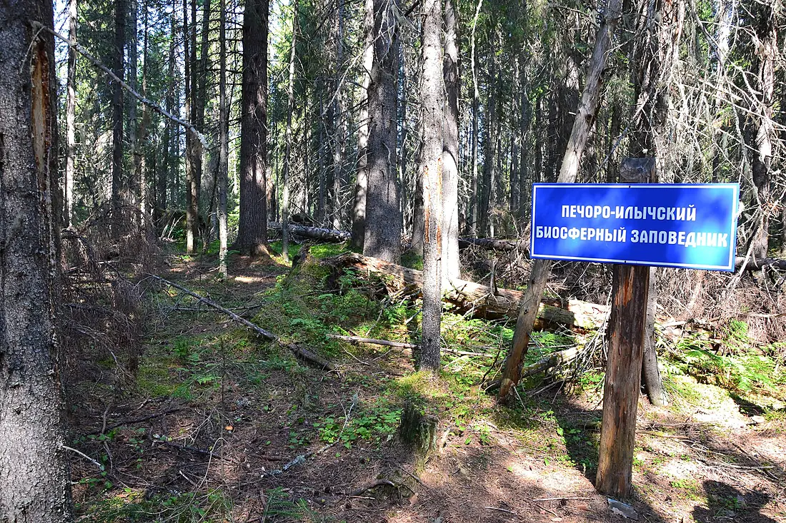 Entrance to Pechora-Ilych Biosphere Reserve