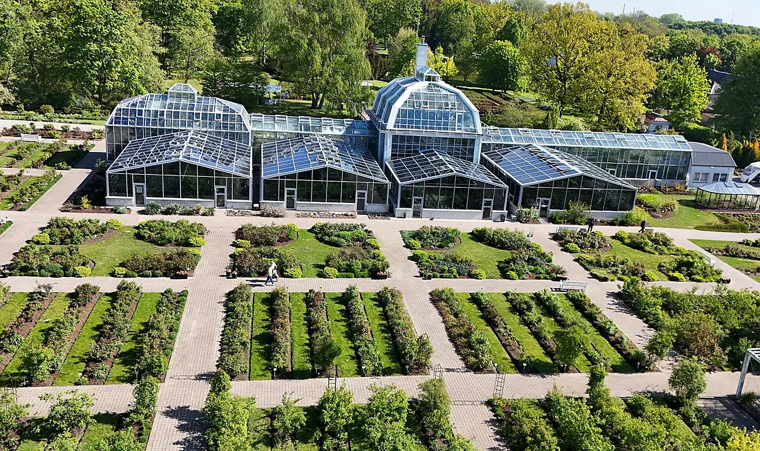 VMU Botanical Garden in Kaunas greenhouse 2025