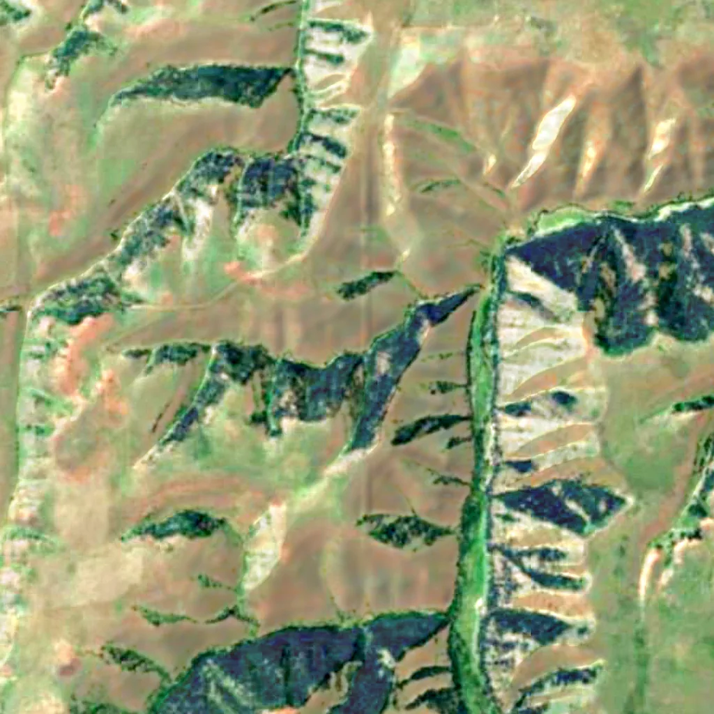 Wallowa–Whitman National Forest seen from above (Sentinel-2)
