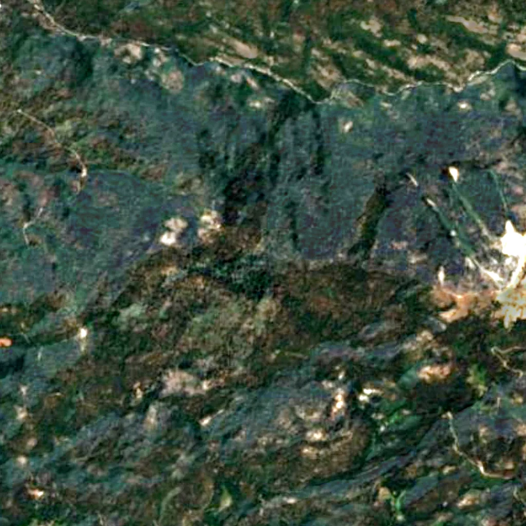 Wawona Tree seen from above (Sentinel-2)