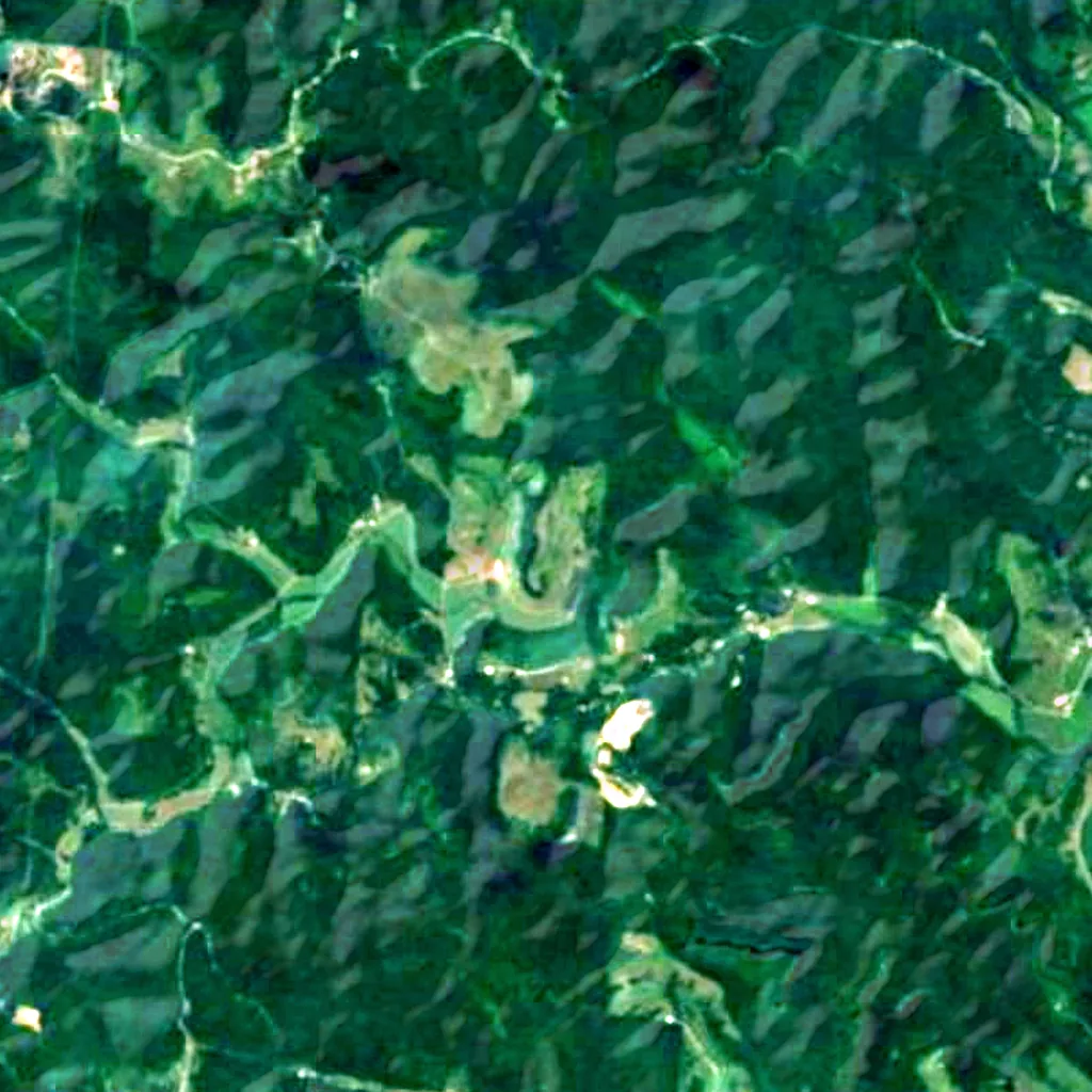 Wayne National Forest seen from above (Sentinel-2)