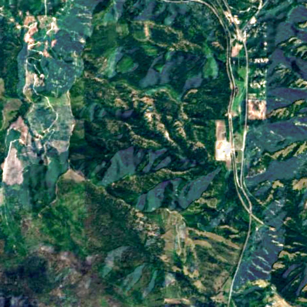 Wenatchee National Forest seen from above (Sentinel-2)
