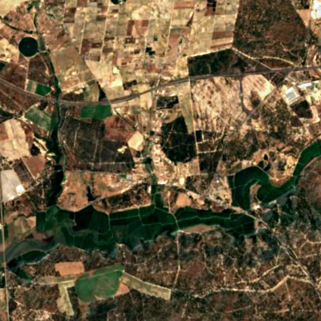 Whistler cork oak seen from above (Sentinel-2)