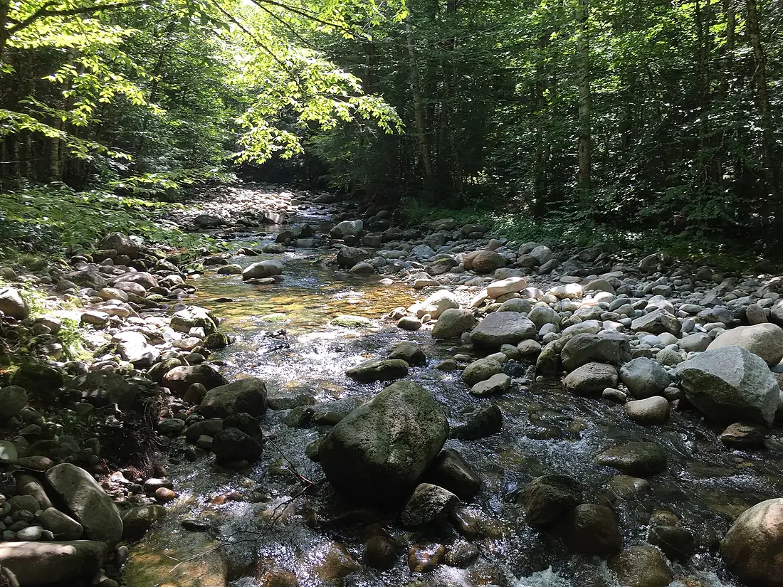 North Branch Gale River August 2018
