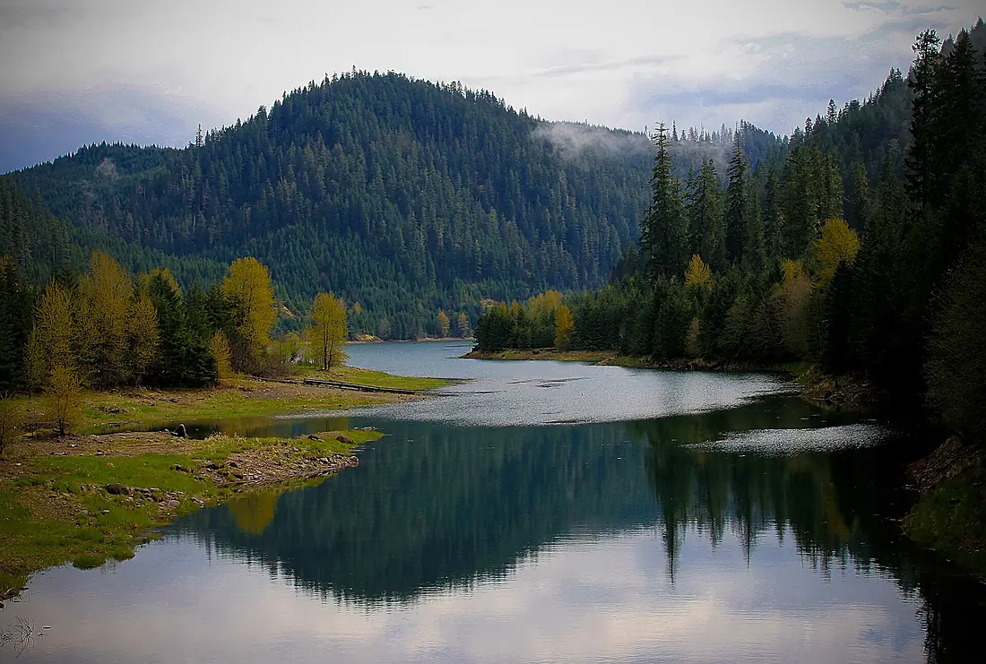 Blue River Reservoir, Willamette National Forest (25037400471)