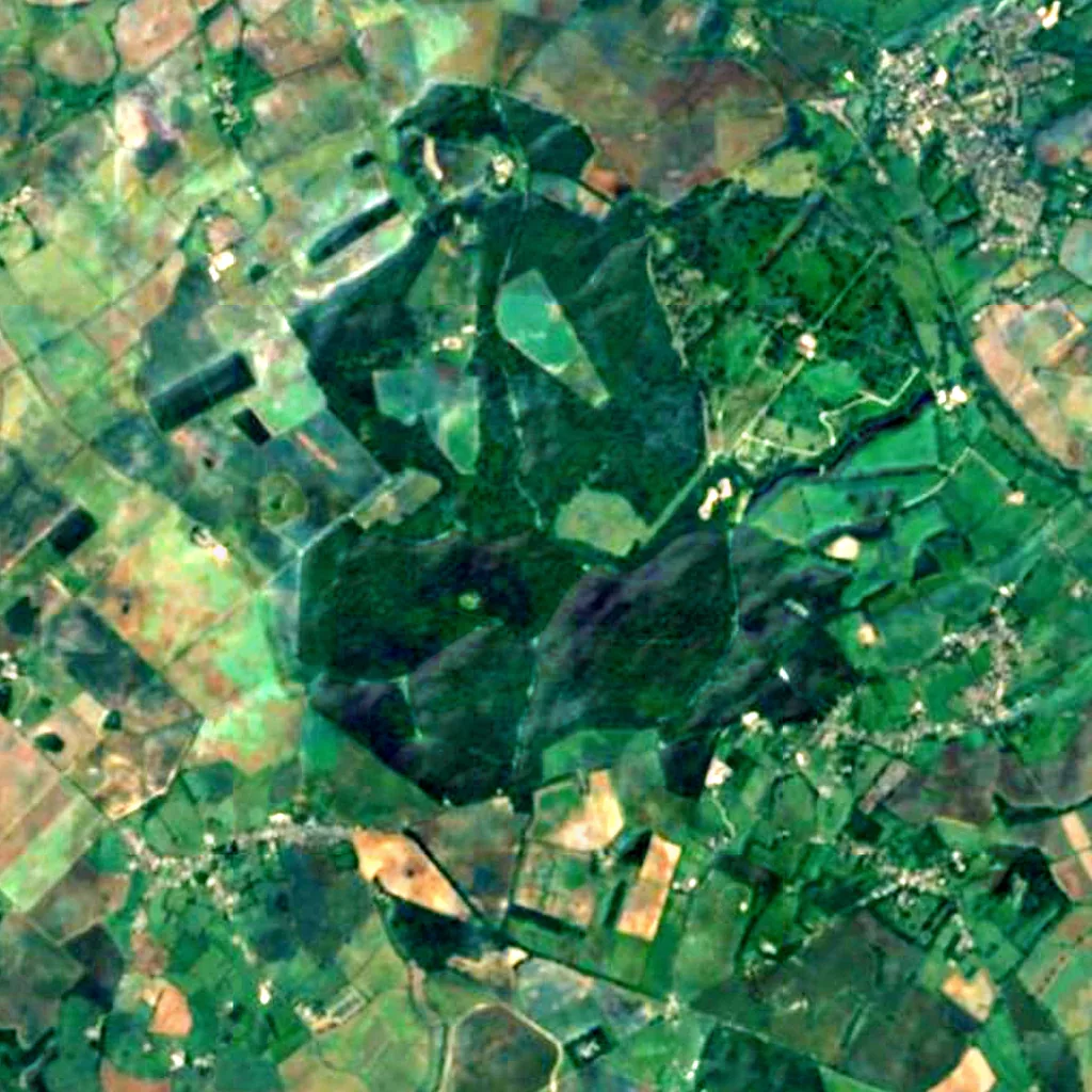 Wychwood seen from above (Sentinel-2)