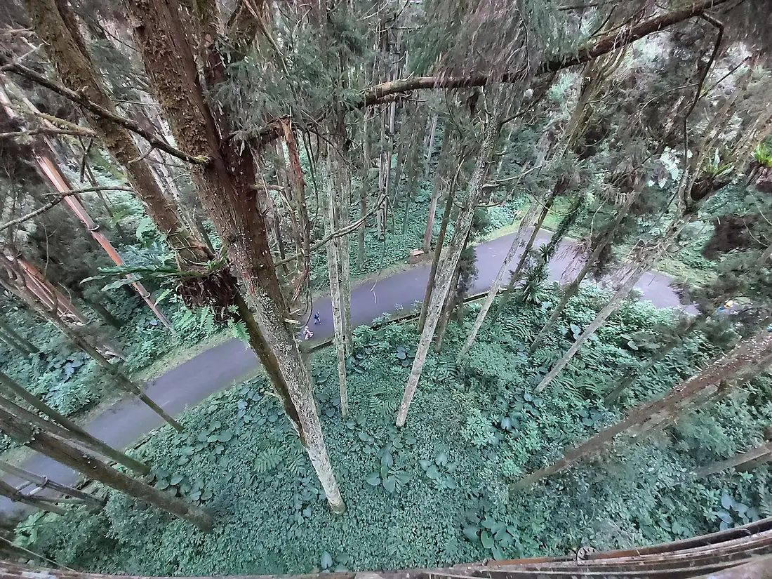 Sky Walk Xitou-07.2023-10-18