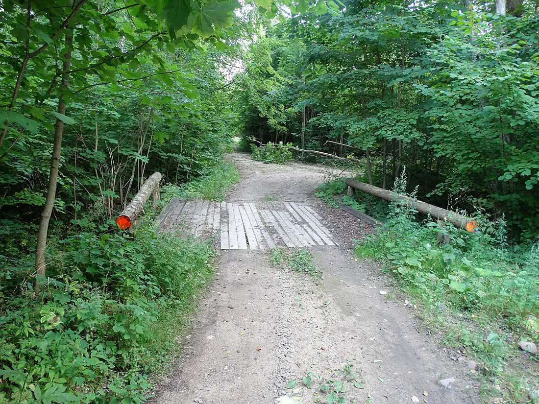 Žagarės miškas, tiltelis
