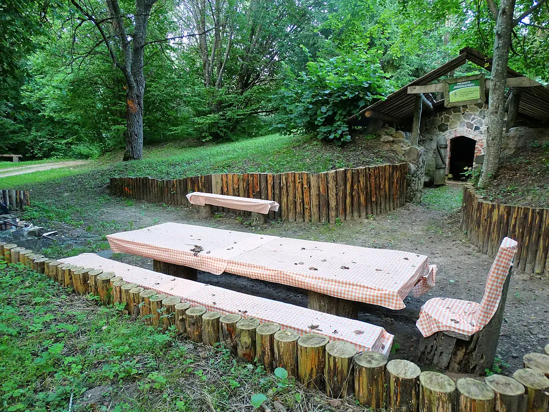 Žagarės miškas. Medžiotojų rūsys