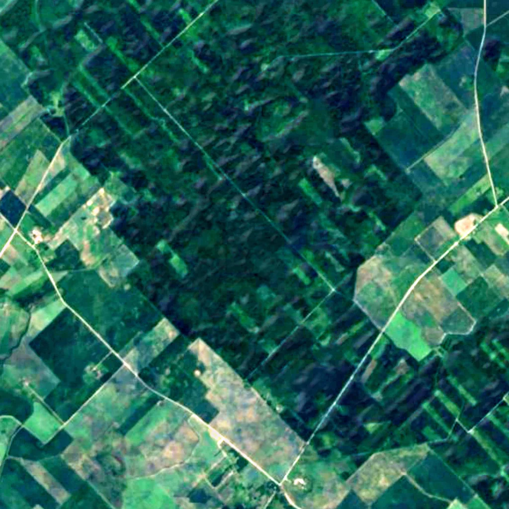 Žagarė Forest seen from above (Sentinel-2)
