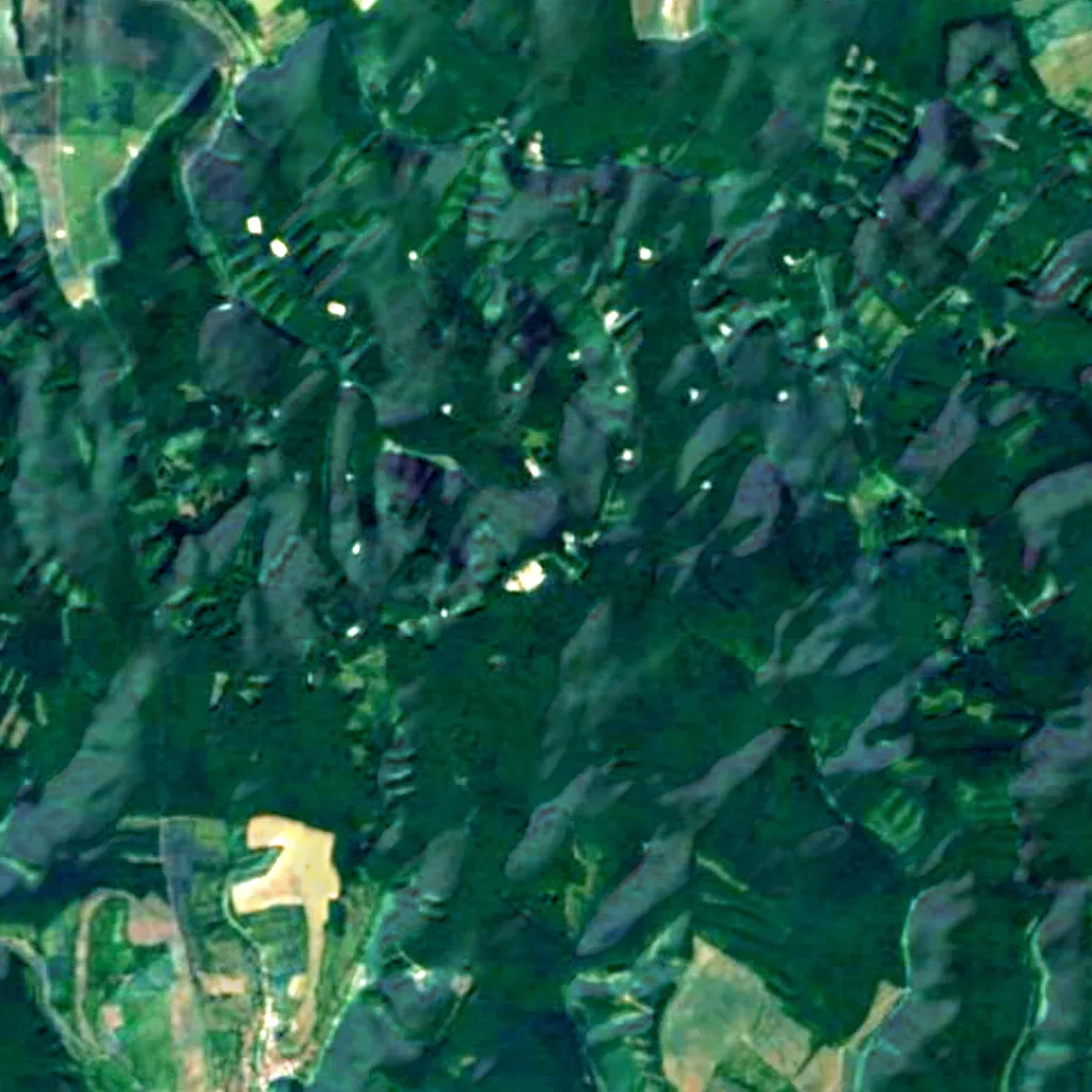 Ždánice Forest seen from above (Sentinel-2)